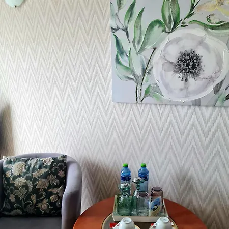 Проживание в семье Roza Wiatrow Дзивновек