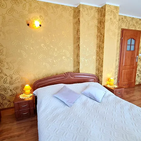 Róża Wiatrów Dziwnówek